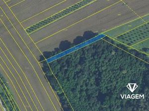 Prodej podílu lesa, Březolupy, 303 m2