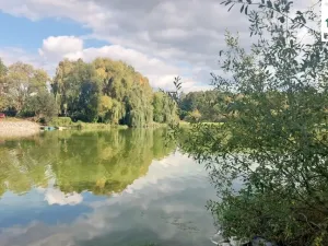 Prodej zahrady, Lipová - Mechová, Lipová, 538 m2