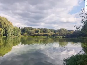 Prodej zahrady, Lipová - Mechová, Lipová, 538 m2