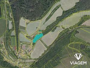 Prodej podílu lesa, Pustověty, 2203 m2