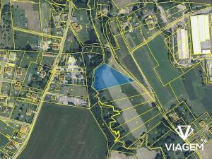 Prodej podílu pole, Světlá nad Sázavou, 1293 m2