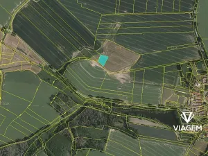 Prodej podílu pole, Dunice, 2308 m2