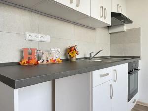 Pronájem bytu 1+1, Litvínov, U Bílého sloupu, 40 m2