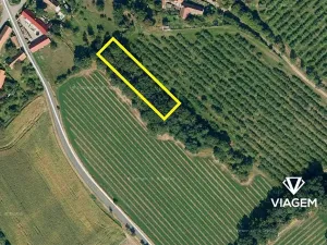 Prodej podílu lesa, Semtěš, 375 m2