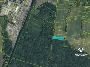 Prodej podílu lesa, Karviná, 356 m2