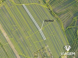 Prodej pole, Břestek, 3524 m2