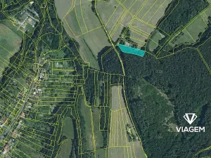 Prodej podílu lesa, Lubná, 720 m2