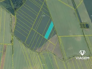 Prodej podílu pole, Všechovice, 2252 m2