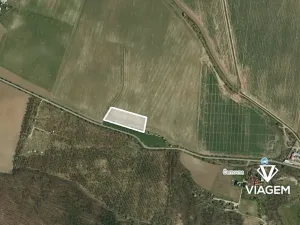 Prodej pole, Vinařice, 6082 m2
