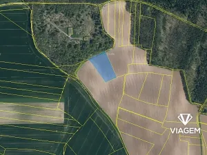 Prodej pole, Vinařice, 8555 m2