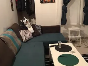 Pronájem bytu 1+kk, Praha - Vinohrady, Lužická, 17 m2