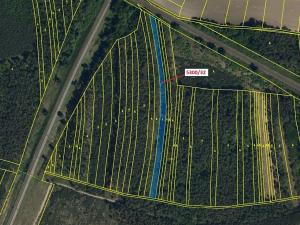 Dražba lesa, Bzenec, 4949 m2