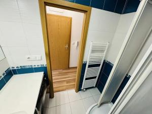 Pronájem bytu 3+kk, Brno, Valchařská, 68 m2