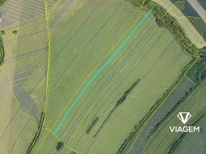 Prodej podílu pole, Velká nad Veličkou, 6758 m2