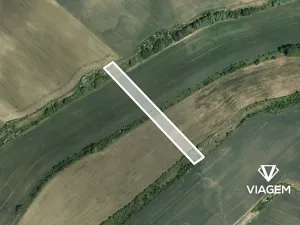 Prodej podílu pole, Mutěnice, 1584 m2