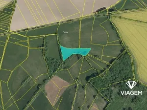 Prodej podílu pole, Heřmanův Městec, 695 m2