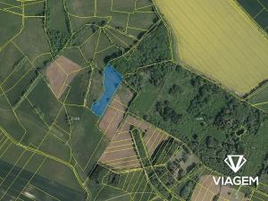 Prodej podílu pole, Klešice, 1145 m2