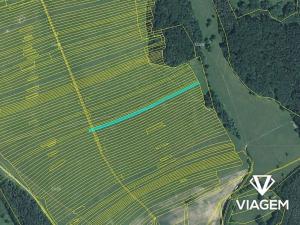 Prodej podílu pole, Suchov, 2848 m2