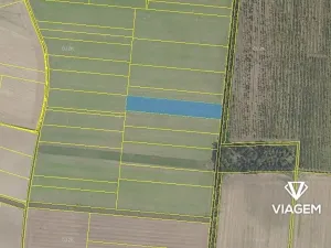 Prodej podílu pole, Dvory, 1236 m2