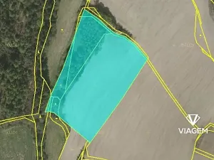 Prodej lesa, Kačlehy, 5447 m2