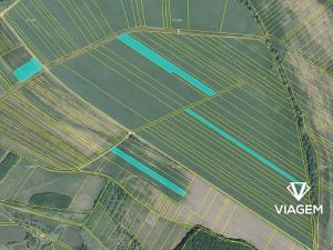 Prodej podílu pole, Pašovice, 5936 m2