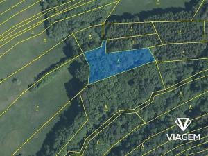 Prodej podílu lesa, Luhačovice, 1729 m2