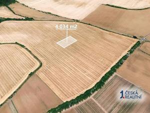 Prodej podílu pole, Mcely, 1008 m2