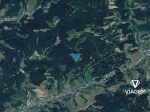 Prodej lesa, Všemina, 36466 m2