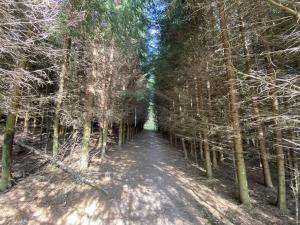 Prodej lesa, Lánov - Horní Lánov, 12297 m2