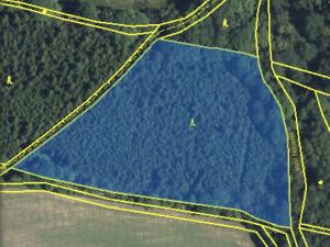 Prodej lesa, Lánov - Horní Lánov, 12297 m2