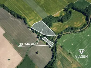 Prodej lesa, Opava, 25368 m2