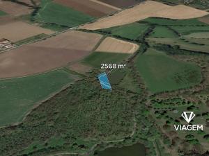 Prodej pole, Kopidlno, 2568 m2