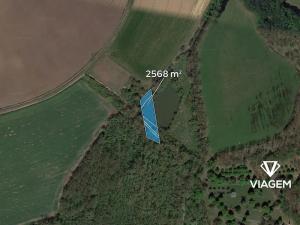 Prodej pole, Kopidlno, 2568 m2