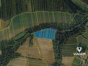 Prodej podílu lesa, Chlum, 1915 m2