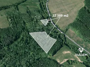Prodej lesa, Doubravy, 22389 m2