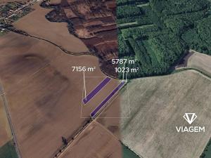 Prodej podílu pole, Střížovice, 1163 m2
