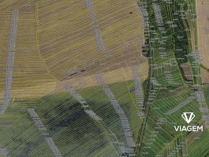 Prodej podílu pole, Velká nad Veličkou, 648 m2