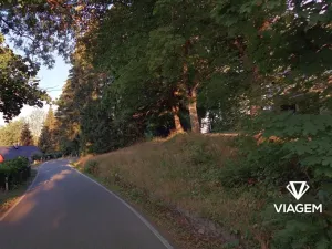 Prodej zahrady, Lučany nad Nisou, 325 m2