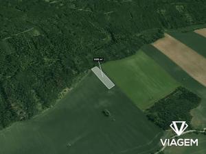 Prodej pole, Nová Ves, 6491 m2