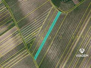 Prodej podílu pole, Velké Bílovice, 922 m2