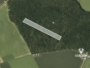 Prodej lesa, Hněvošice, 18551 m2