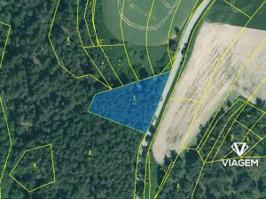 Prodej podílu lesa, Manětín, 1114 m2
