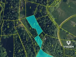 Prodej lesa, Železný Brod, 1564 m2