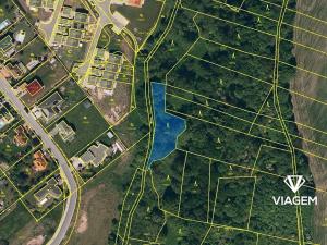 Prodej lesa, Velká Polom, 1258 m2