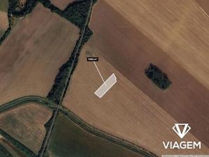 Prodej podílu pole, Vnorovy, 3656 m2