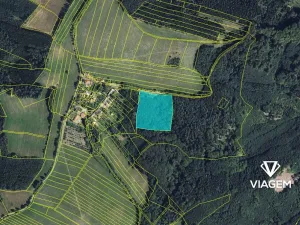 Prodej podílu lesa, Městečko Trnávka, 609 m2