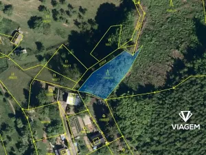 Prodej lesa, Vsetín, Rokytnice, 595 m2