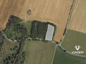 Prodej podílu lesa, Brodek u Konice, 981 m2