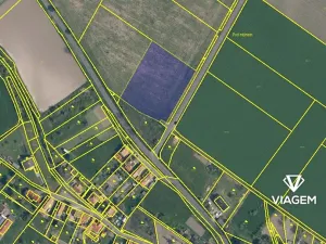 Prodej podílu pole, Bechlín, 2641 m2