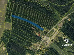 Prodej lesa, Horní Lhota, 9071 m2